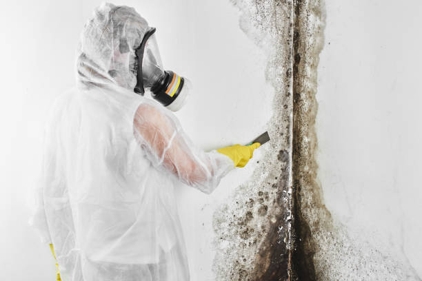Best Water Damage Restoration  in Mount Hermon, CA