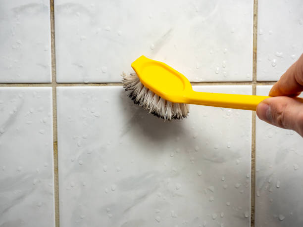 Best Affordable Mold Removal  in Mount Hermon, CA