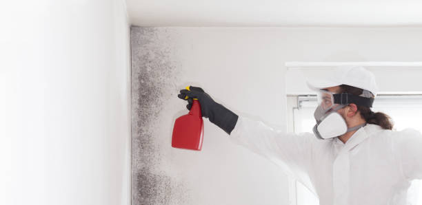 Best Crawl Space Mold Removal  in Mount Hermon, CA